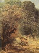 Gustave Courbet, Deer